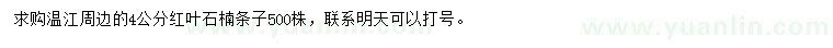 求購(gòu)4公分紅葉石楠