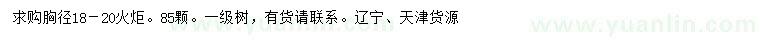 求購胸徑18-20公分火炬