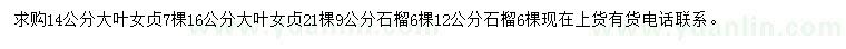 求購(gòu)14、16公分大葉女貞、9、12公分石榴
