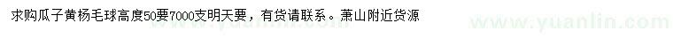 求購高50公分瓜子黃楊