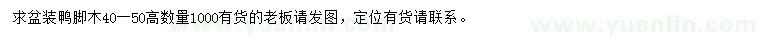 求購(gòu)高40-50公分鴨腳木