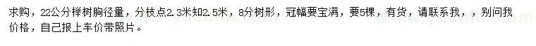 求購胸徑22公分櫸樹
