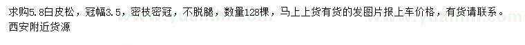 求購冠幅3.5米白皮松