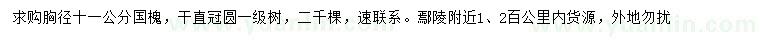 求購11公分國槐