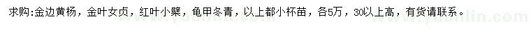 求購金邊黃楊、金葉女貞、紅葉小檗等