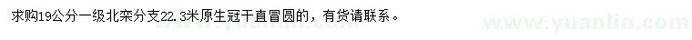求購(gòu)19公分北欒