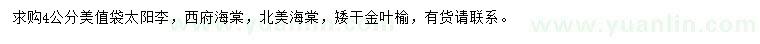求購太陽李、西府海棠、北美海棠等