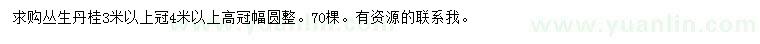 求購冠幅4米以上叢生丹桂