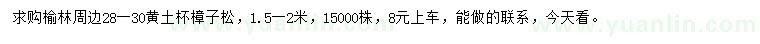 求購1.5-2米樟子松