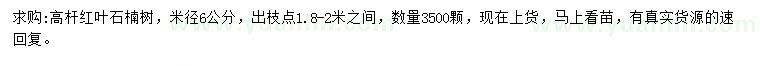 求購米徑6公分紅葉石楠樹