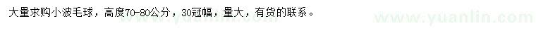 求購高70-80公分小波毛球