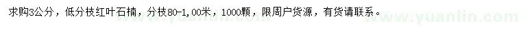求購3公分紅葉石楠
