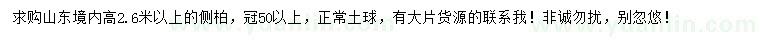 求購2.6米以上側(cè)柏