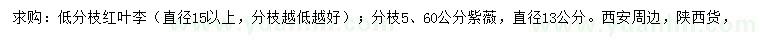 求購紅葉李、50、60公分紫薇