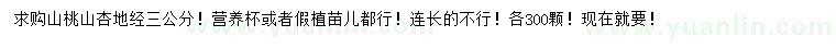 求購地徑3公分山桃、山杏