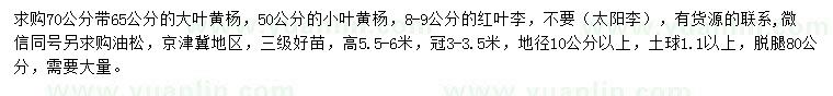 求購大葉黃楊、小葉黃楊、紅葉李等