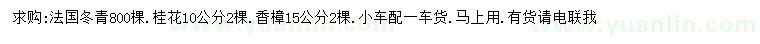 求購法國(guó)冬青、桂花、香樟