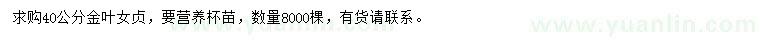 求購40公分金葉女貞