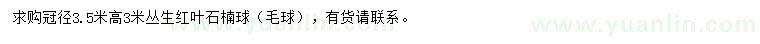 求購(gòu)3.5米紅葉石楠球