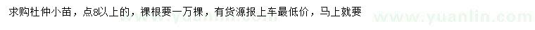 求購(gòu)0.8公分以上杜仲小苗