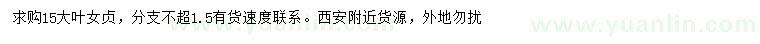 求購(gòu)15公分大葉女貞
