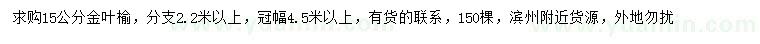 求購15公分金葉榆