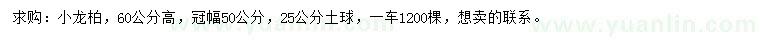 求購冠幅50公分小龍柏