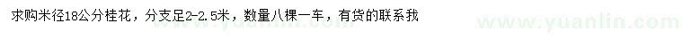求購米徑18公分桂花
