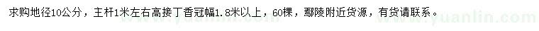 求購(gòu)地徑10公分丁香