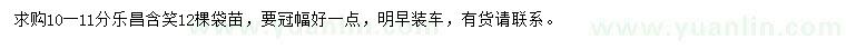 求購10-11公分分樂昌含笑