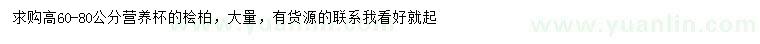 求購高60-80公分檜柏