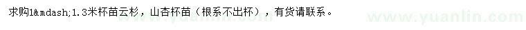 求購(gòu)1-1.3米云杉、山杏