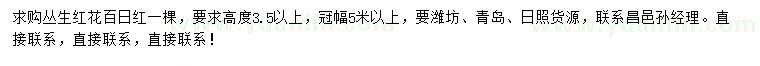 求購冠幅5米以上叢生紅花百日紅