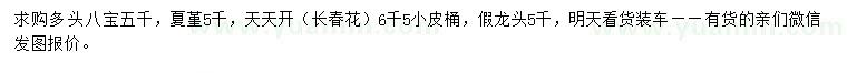 求購多頭八寶、夏堇、天天開等