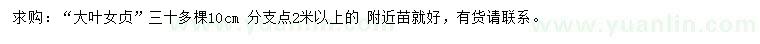 求購10公分大葉女貞