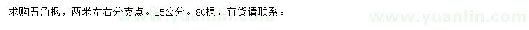 求購15公分五角楓