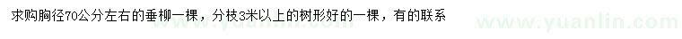 求購胸徑70公分左右垂柳