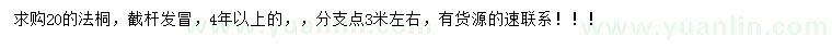 求購20公分法桐