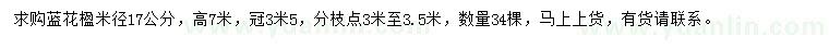 求購米徑17公分藍(lán)花楹