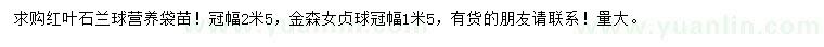 求購冠幅2.5米紅葉石楠球、冠幅1.5米金森女貞球