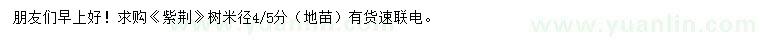 求購米徑4、5公分紫荊樹