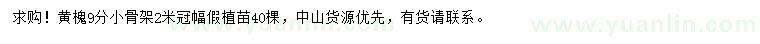 求購9公分黃槐