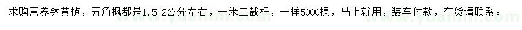 求購1.5-2公分五角楓