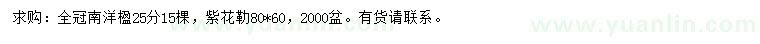 求購南洋楹、紫花勒