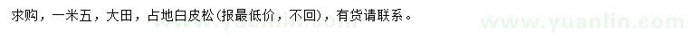 求購(gòu)1.5米白皮松