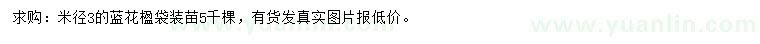 求購(gòu)米徑3公分藍(lán)花楹