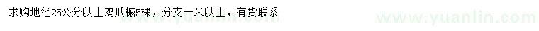 求購地徑25公分以上雞爪槭