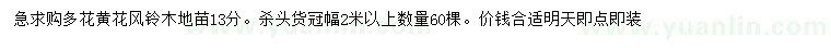 求購13公分多花黃花風鈴木
