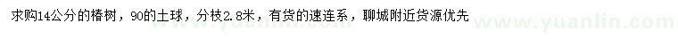 求購14公分椿樹