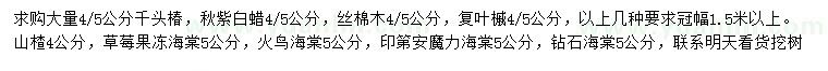 求購千頭椿、秋紫白蠟、絲棉木等